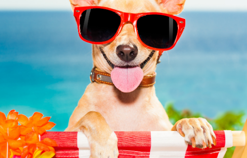 Podaljšani turistični boni do konca leta 2021